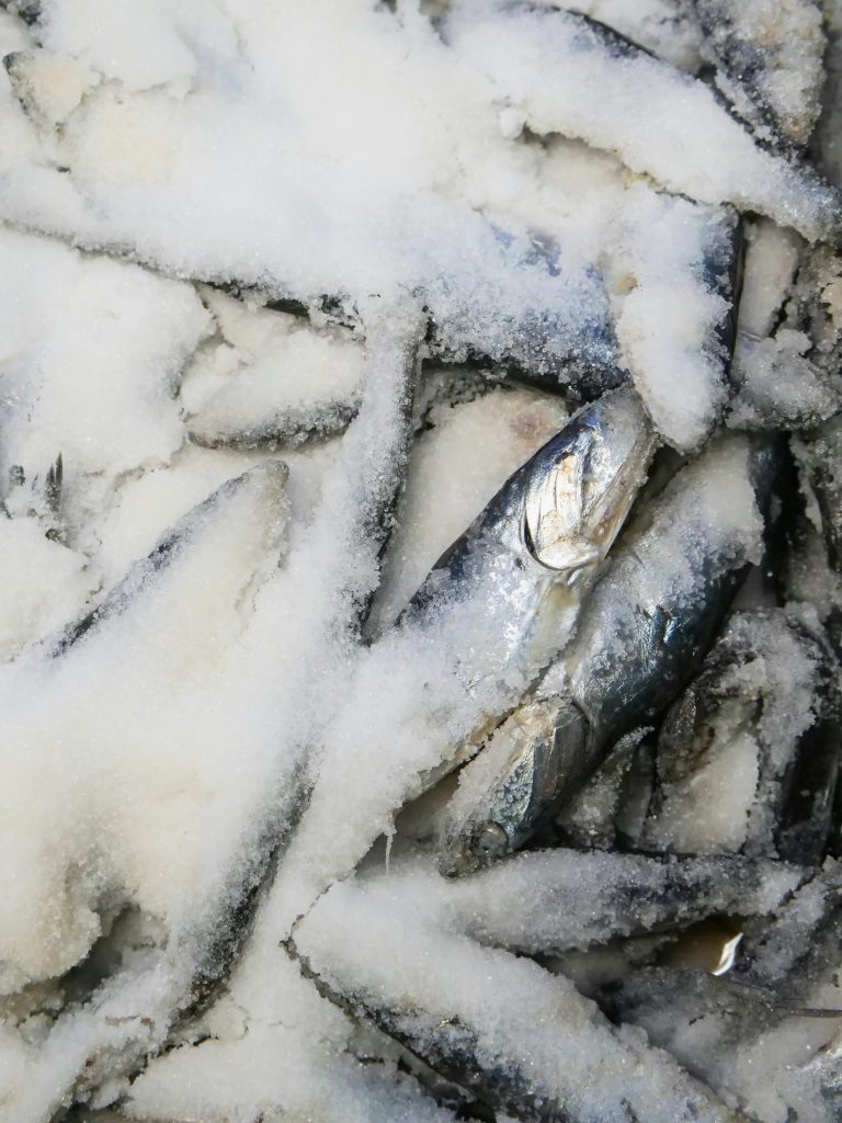 De frisse smaken van ceviche: een culinaire reis uit Zuid-Amerika