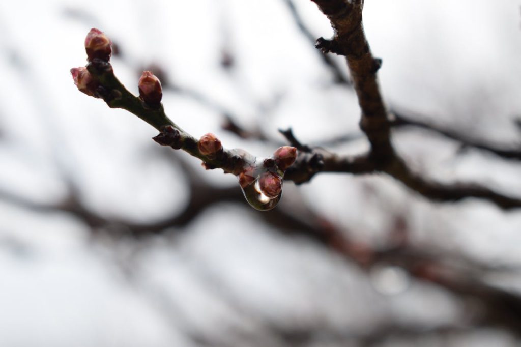 Het leven en afscheid van Maarten uit Winter Vol Liefde